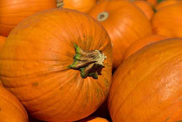 Pumpkins are not just for health